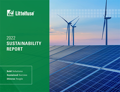 Sustainablity Report 2021